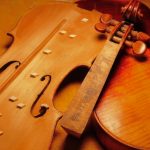 Types of wood for musical instruments