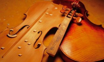 Types of wood for musical instruments