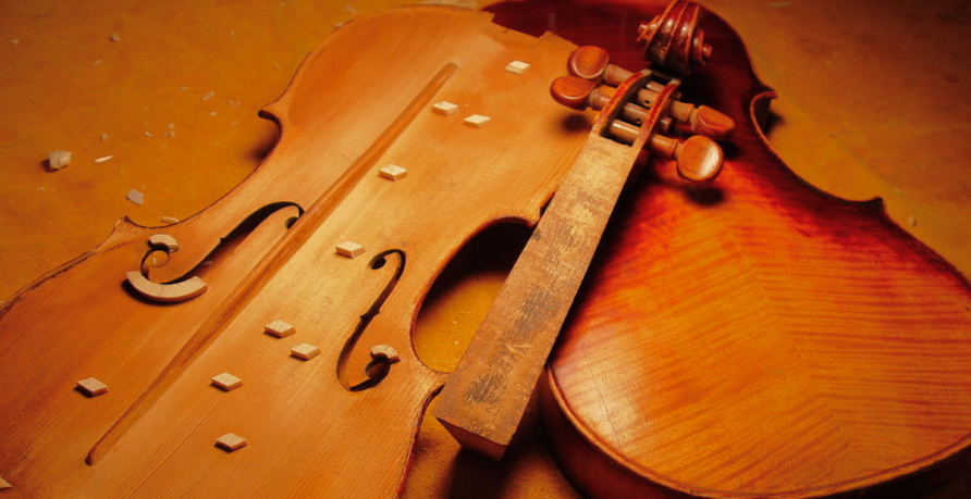 Types of wood for musical instruments